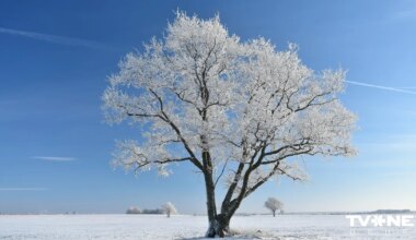 Kādi laikapstākļi gaidāmi piektdien?