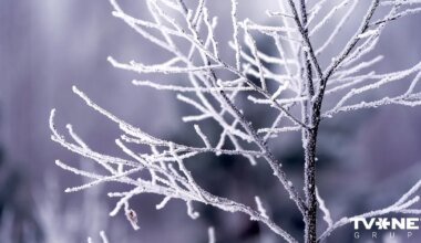 Latvijā aust pēdējo divu gadu aukstākais rīts