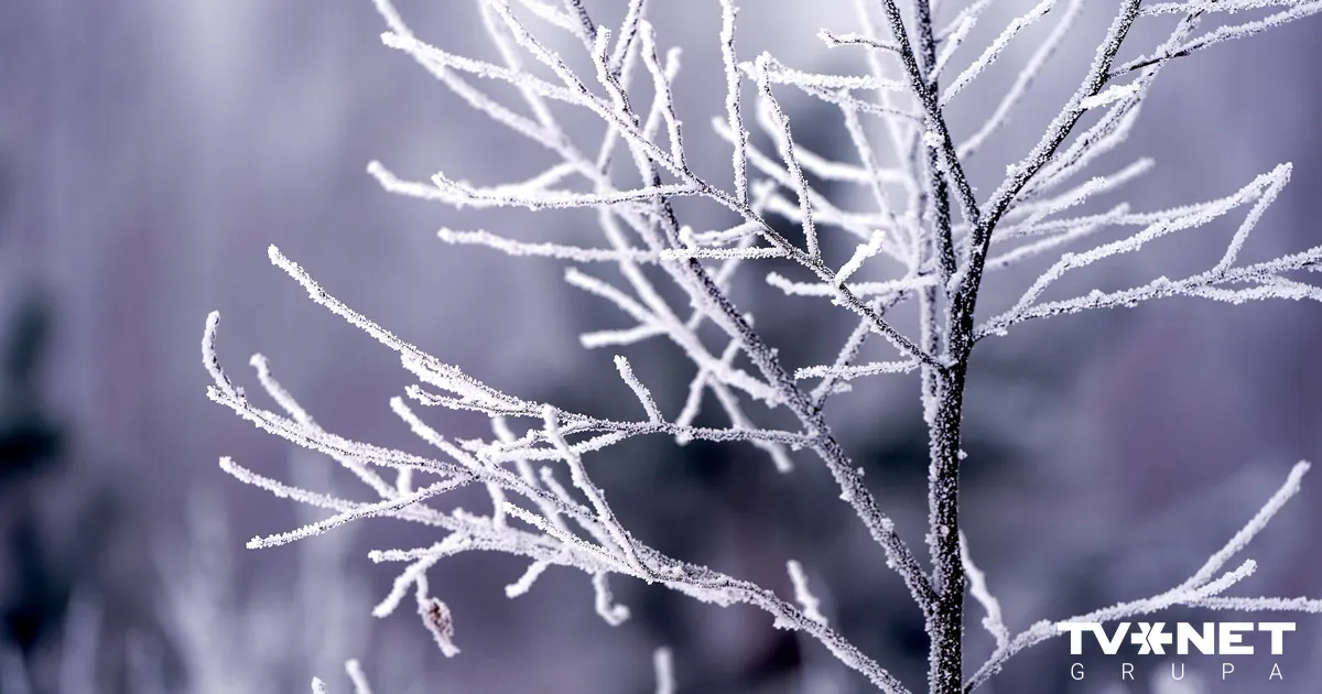 Latvijā aust pēdējo divu gadu aukstākais rīts