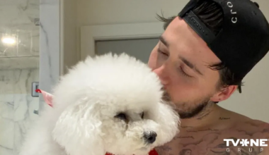 "Es nevēlos salabt ar savu ģimeni!" Viktorijas un Deivida Bekhemu dēls Bruklins atklāti par konfliktu ar vecākiem