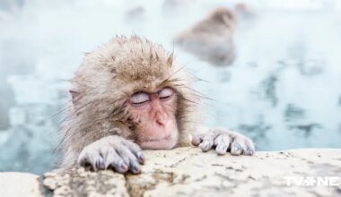 Horoskops trešdienai, 28. janvārim