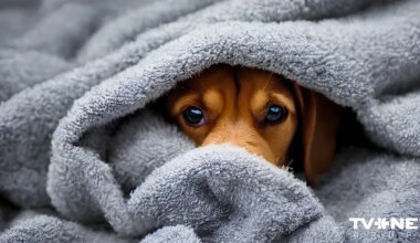 Horoskops piektdienai, 23. janvārim