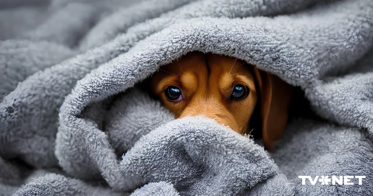 Horoskops piektdienai, 23. janvārim