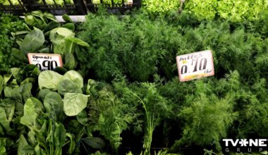 PVD dillēs no Uzbekistānas konstatējis neatļauta pesticīda atliekvielas