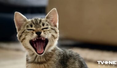 Horoskops otrdienai - 27. janvārim