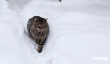 Dagdā fiksēts dziļākais sniegs valstī kopš 2024. gada februāra