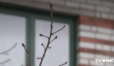 VIDEO ⟩ Izskan jauna informācija par traģēdiju Rēzeknes dzīvoklī, kur atrada vīrieša un mazuļa līķus