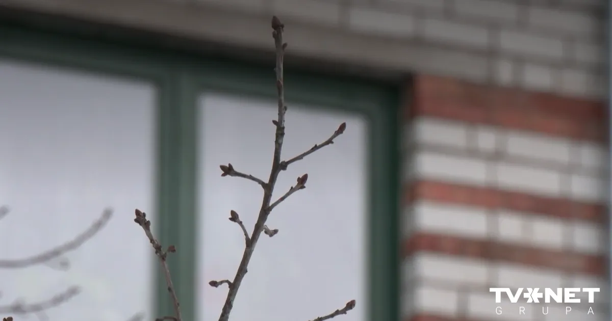 VIDEO ⟩ Izskan jauna informācija par traģēdiju Rēzeknes dzīvoklī, kur atrada vīrieša un mazuļa līķus