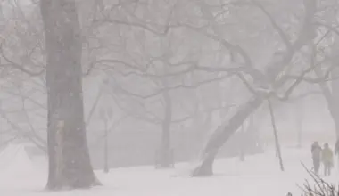 Izsludināts dzeltenais brīdinājums: sestdien valsts rietumos sniega sega var palielināties līdz pat deviņiem centimetriem - Jauns.lv