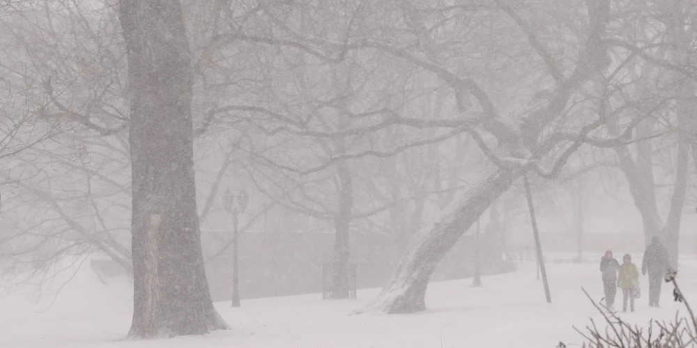Izsludināts dzeltenais brīdinājums: sestdien valsts rietumos sniega sega var palielināties līdz pat deviņiem centimetriem - Jauns.lv