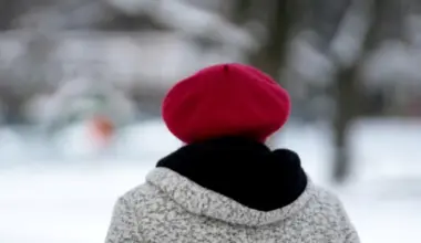 Pensionāre Daugavpilī "iznes cauri" krāpniekus un palīdz notvert naudas kurjeru