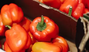 PVD brīdina: vairākiem sūtījumiem no trešajām valstīm konstatēti pārtikas nekaitīguma pārkāpumi - Jauns.lv