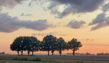 Vai pašu ražota enerģija svarīgāka par zemi? - BauskasDzive.lv