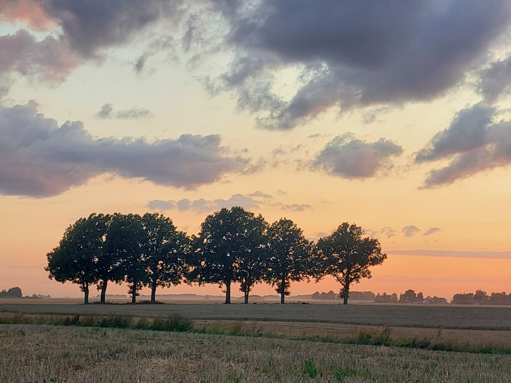 Vai pašu ražota enerģija svarīgāka par zemi? - BauskasDzive.lv