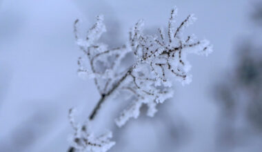 Sals varētu sasniegt -30 grādus; autovadītāji aicināti būt uzmanīgiem