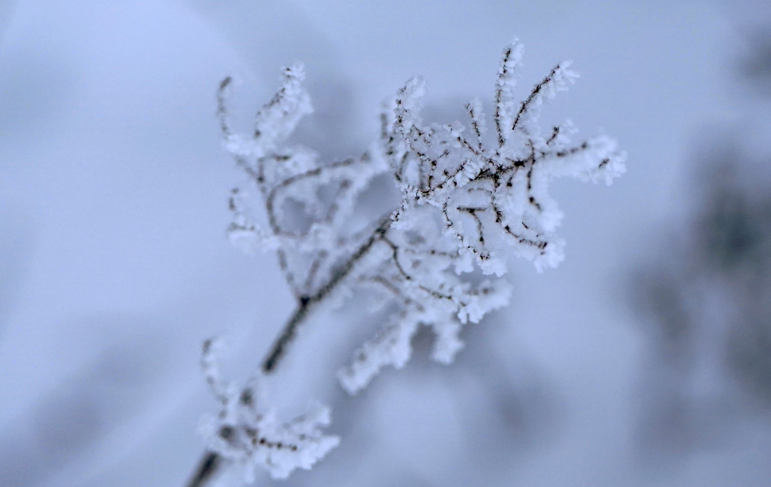 Sals varētu sasniegt -30 grādus; autovadītāji aicināti būt uzmanīgiem