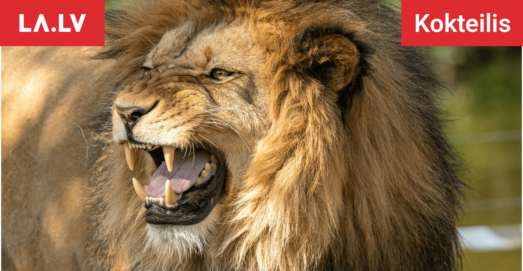 Šo četru zodiaka zīmju dzīvēs sākas “melnā svītra” – tās jau sāk saskarties ar nopietniem dzīves pavērsieniem