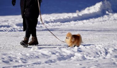 Pirmdien starp mākoņiem izsprauksies arī pa saules staram