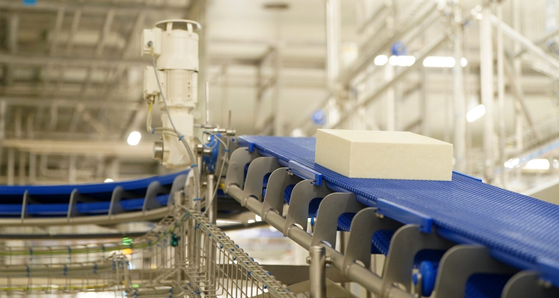 "Vilvi Group" jaunajā rūpnīcā Bauskā uzsāk siera ražošanu