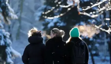 31. decembrī Latvijā prognozē ziemīgus laikapstākļus ar salu un sniegu