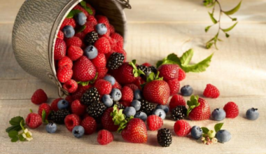 Flavonoīdi darbībā: pētījums atklāja ogu, kas spēj pagarināt dzīvi