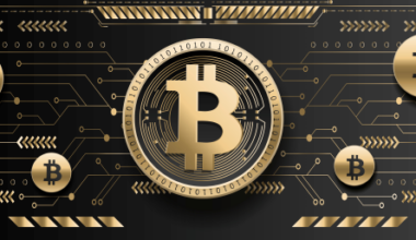 Vairāk nekā 50 milj. dolāru par vienu bitkoinu: labākajā gadījumā un pēc ceturtdaļgadsimta