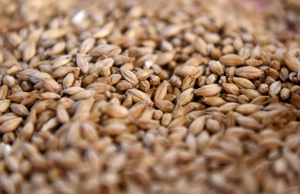 Krievijas graudaugu tranzīts caur Latviju pērn samazinājies 2,9 reizes :: Dienas Bizness