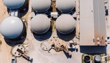 Vai vistu mēsli ir jaunais zelts? :: Dienas Bizness