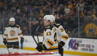 "Viņš spēlē uzvarošu hokeju" – Ločmeļa treneris atzinīgi vērtē latvieša sniegumu