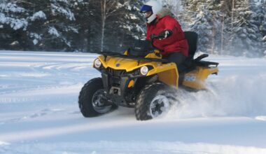 Nākamnedēļ atgriezīsies sals un sniega sega sabiezēs