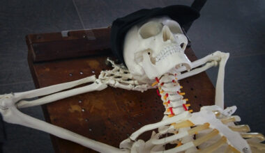 „Frankenšteins 2.0”. Dāvja Sīmaņa versija