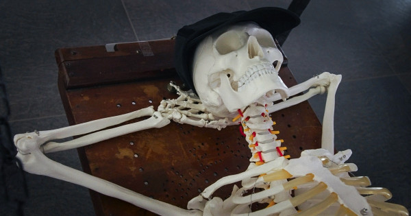 „Frankenšteins 2.0”. Dāvja Sīmaņa versija