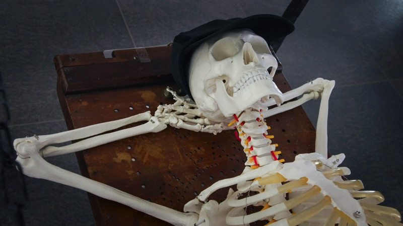 „Frankenšteins 2.0”. Dāvja Sīmaņa versija