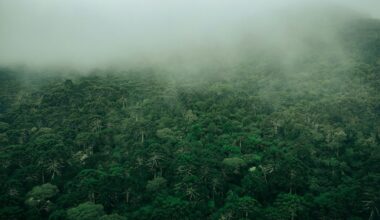 Tādi apstākļi cilvēces vēsturē nav pieredzēti – pētnieki brīdina par nepatīkamu nākotnes scenāriju