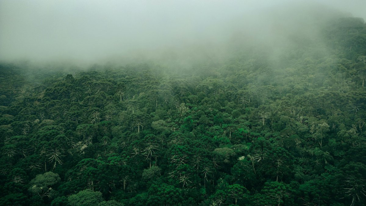 Tādi apstākļi cilvēces vēsturē nav pieredzēti – pētnieki brīdina par nepatīkamu nākotnes scenāriju