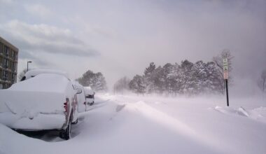 Piektdien būs ass vējš un zemais putenis / Raksts