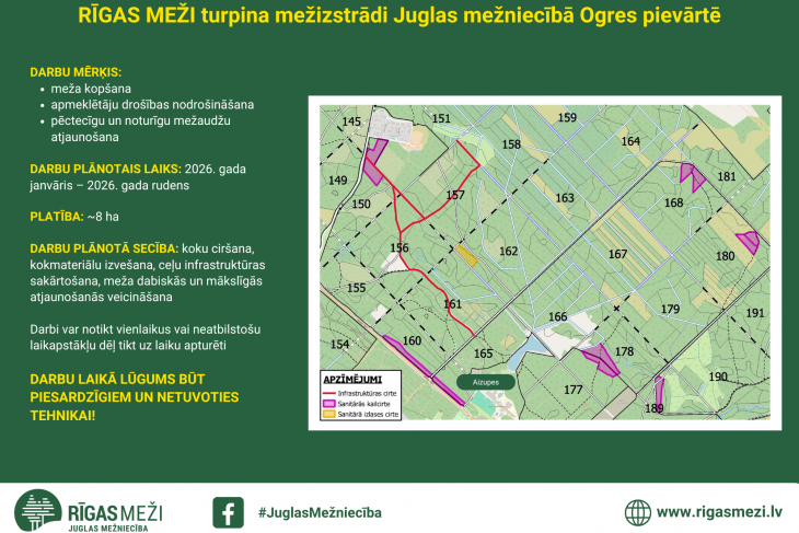 “Rīgas meži” turpina mežsaimniecības darbus Ogres pievārtē