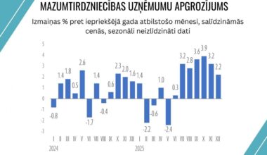 Pērn mazumtirdzniecības apgrozījums pieauga par 1,4%; šogad paredz straujāku kāpumu