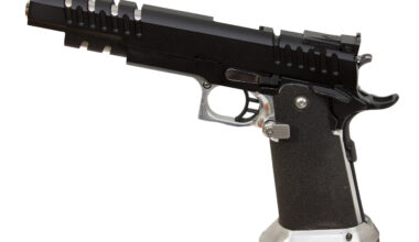 Geinsvilas parkā Ziemassvētku priekšvakarā nošauts vīrietis