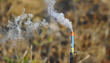 Daudzie ugunsgrēki Vecgada vakarā Vācijā ir uguņošanas sekas