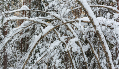 Izsludināts brīdinājums par apjomīgu snigšanu