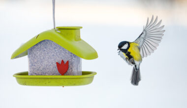 Nedēļas nogales laikapstākļi Latvijā – sniegs, vējš, sals