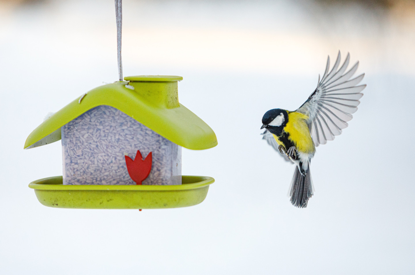 Nedēļas nogales laikapstākļi Latvijā – sniegs, vējš, sals