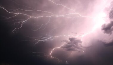 VIDEO. Francijas vētra atstāj bez elektrības 380 tūkstošus