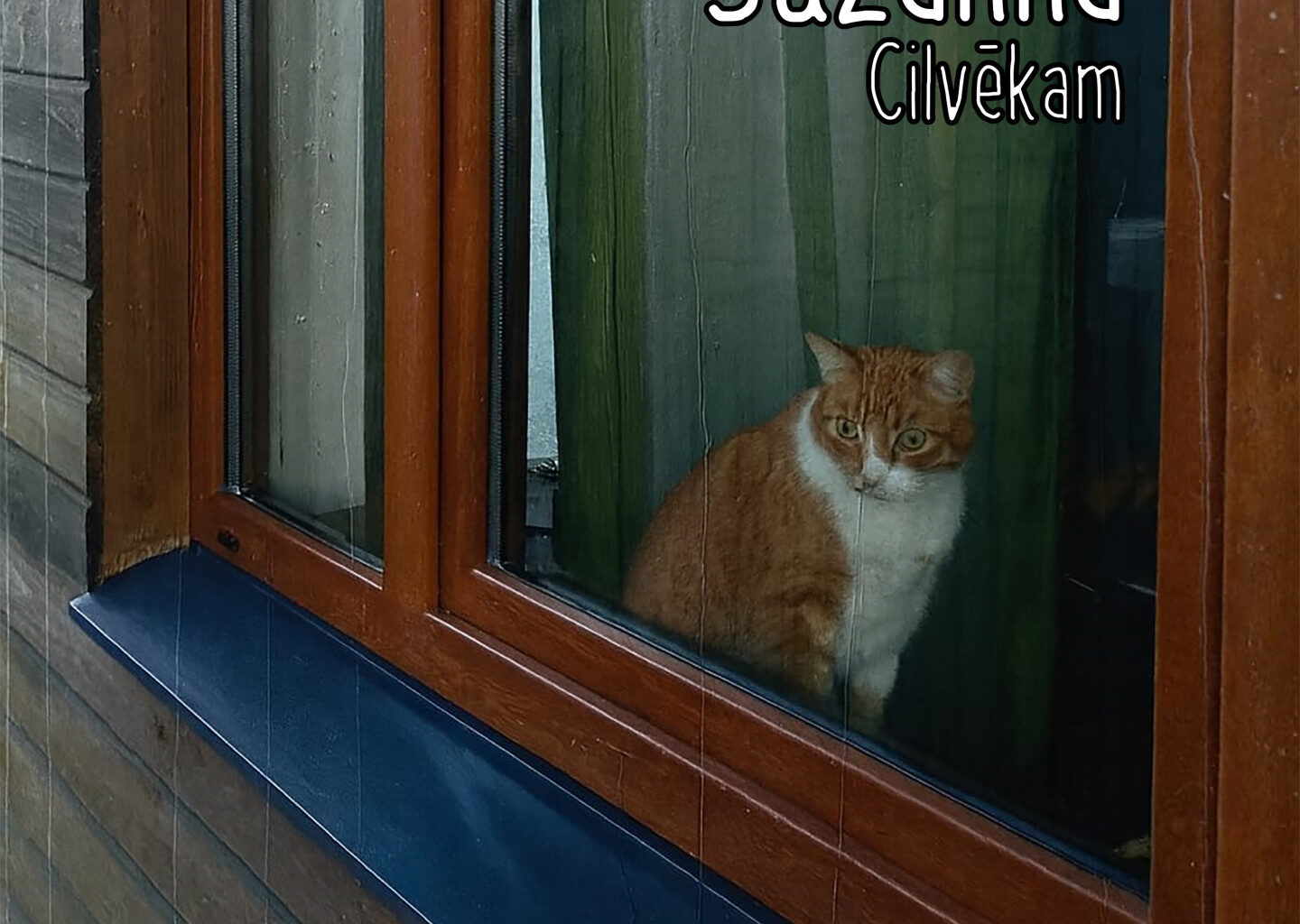 Suzanna debijas albums 'Cilvēkam': apskats un viedoklis