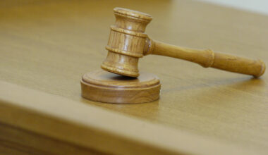 Ksenija Ņeženkina no "Caur ērkšķiem uz..." nonāk tiesā