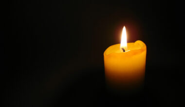 Miris Valdis Gavars - nra.lv