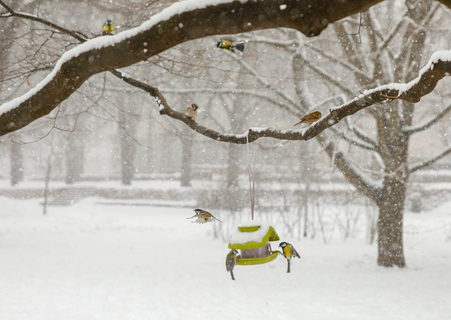 Laika prognoze Latvijā: Saulains un auksts līdz nedēļas beigām