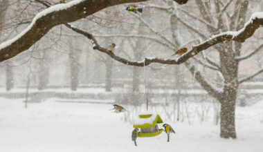 Laika prognoze Latvijā: Saulains un auksts līdz nedēļas beigām