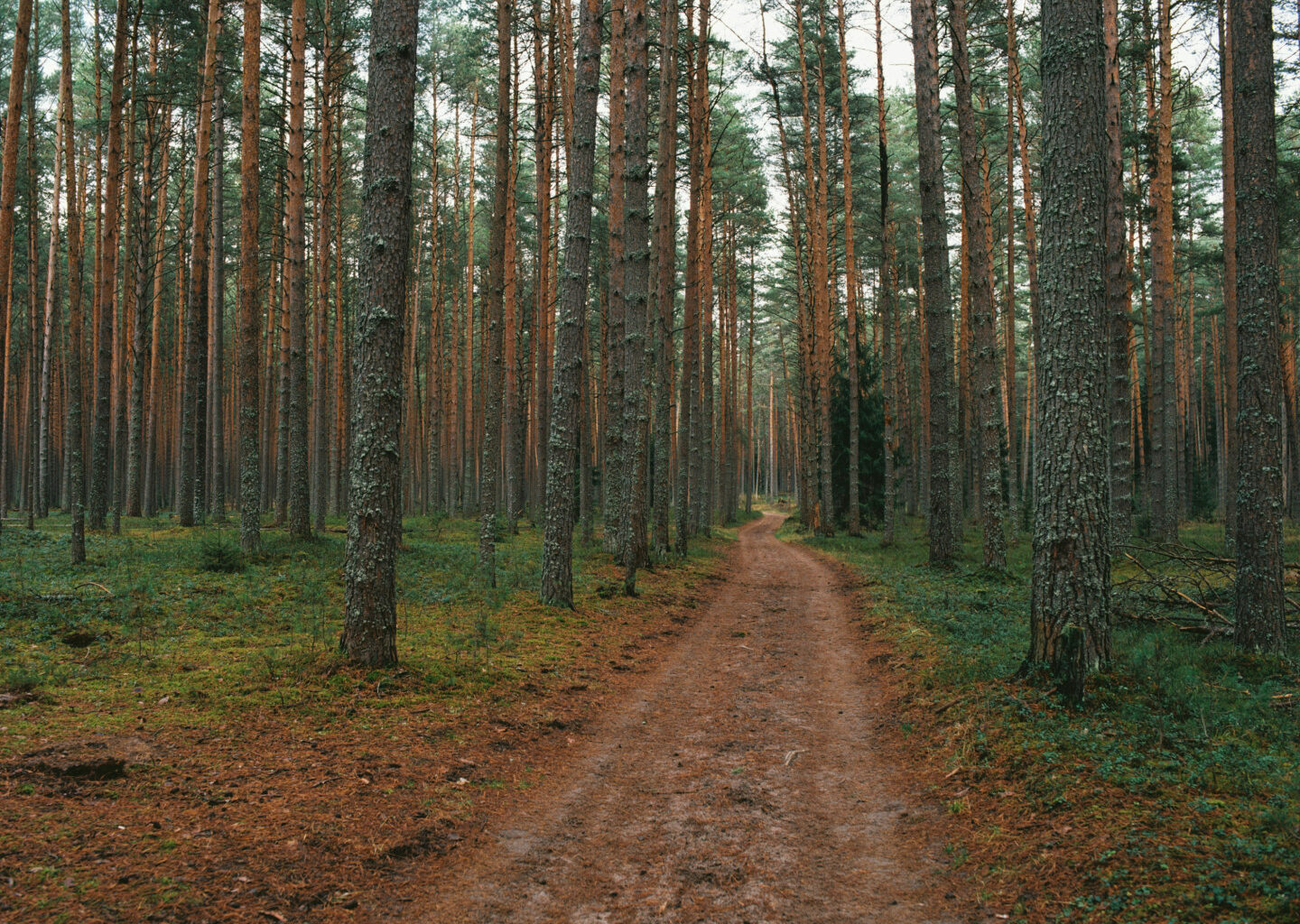 Šauļu rajonā atrasts miris pāris – izmeklēšanas jaunumi